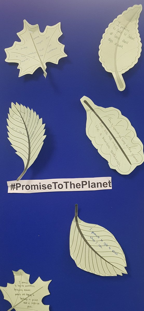 Great year 8 promises to the planet!