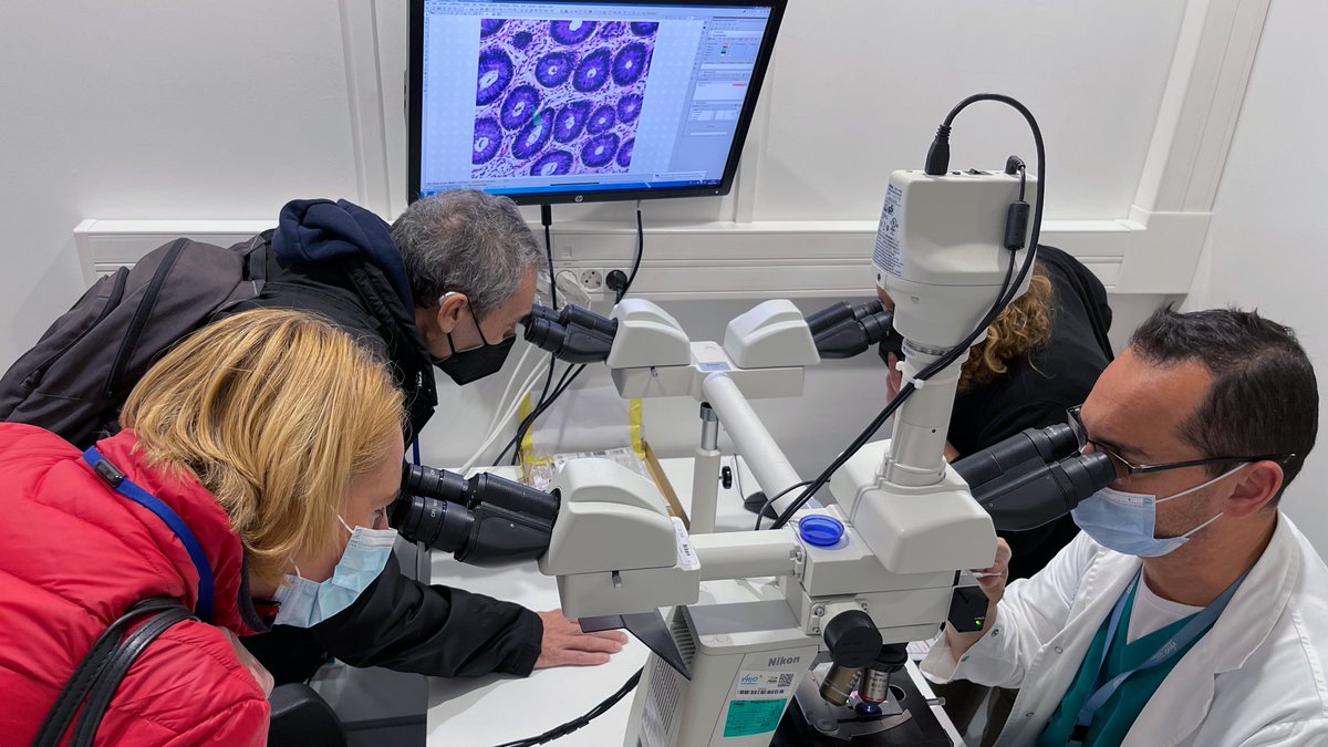 VHIO's tweet photo. 🔬 Bienvenidos y bienvenidas‼️ Diversas personas nos han visitado con motivo de la Semana de la Innovación y la Ciencia. 

Durante el recorrido, han visitado el Lab de Genómica del Cáncer 🧬 y observado células del colon con potentes microscopios.  

#FemInnovacióiCiènciaVH https://t.co/Oi1Vq75LSE