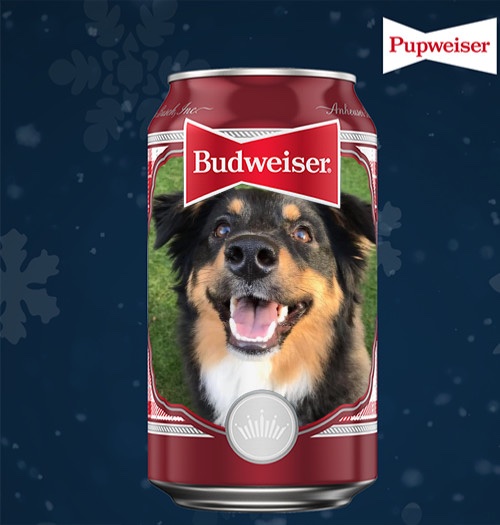 MeeganLord's tweet photo. Whiskey would love to be the pupweiser dog! #PupsweiserContest https://t.co/q3MRiVkRJQ