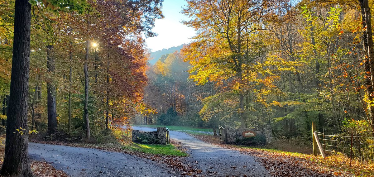 Beautiful fall colors this year! #manderleycamp #camping #fall2021 #fallcolors #leaves #outdoors #getoutside #camp