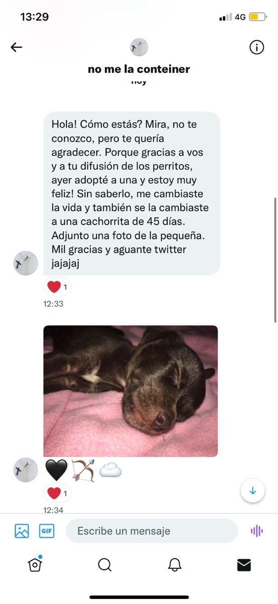 Patop's tweet photo. A veces esta red social es una merde, otras por suerte no. Este es un claro ejemplo del no, anímense a adoptar 💖 https://t.co/3W4hHWpwAg