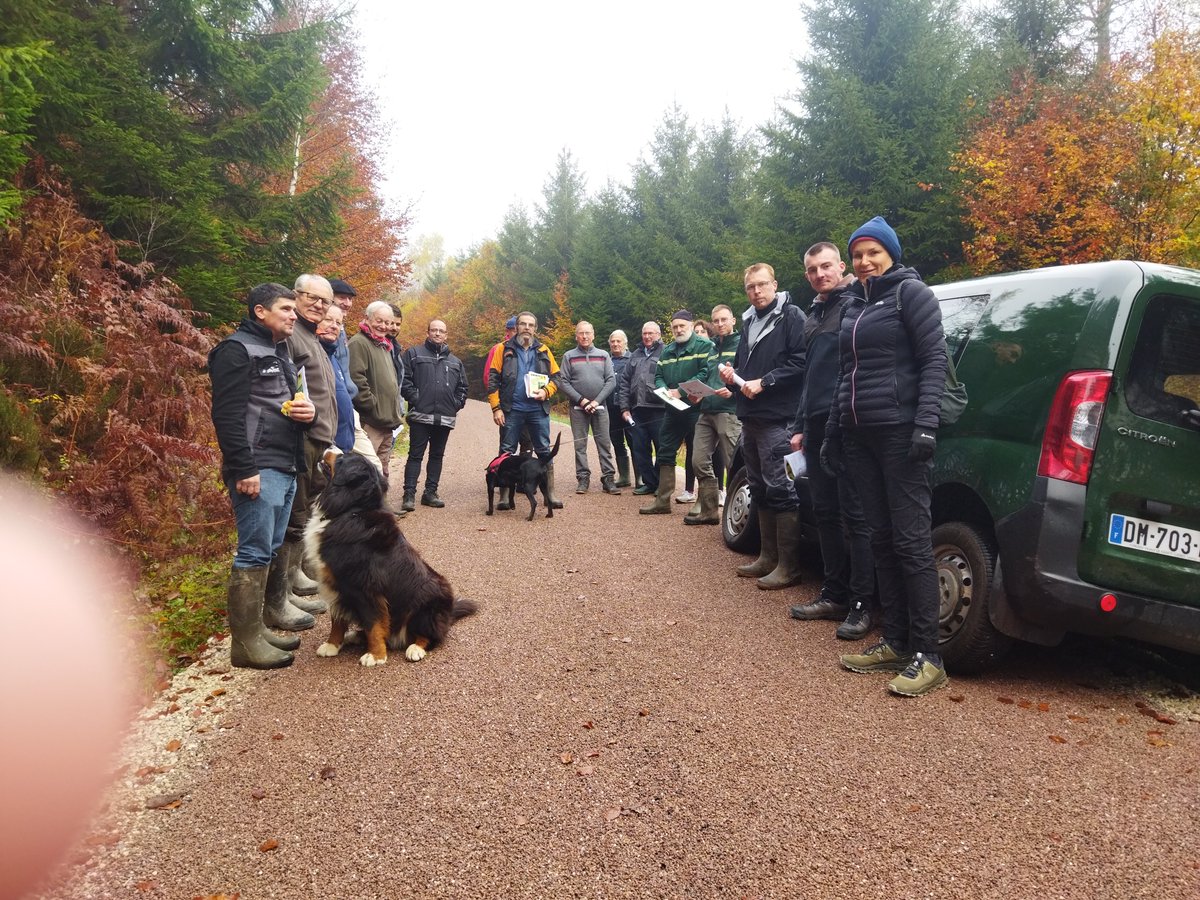 blidericus's tweet photo. Bleurville (88). - La commune investit dans l'avenir de sa forêt en testant des plantations de nouvelles essences plus résistantes au réchauffement climatique... https://t.co/JCLiaQLwzC