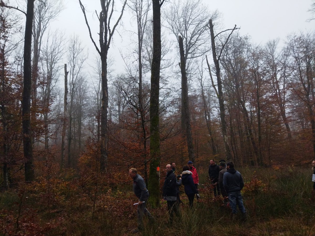 blidericus's tweet photo. Bleurville (88). - La commune investit dans l'avenir de sa forêt en testant des plantations de nouvelles essences plus résistantes au réchauffement climatique... https://t.co/JCLiaQLwzC