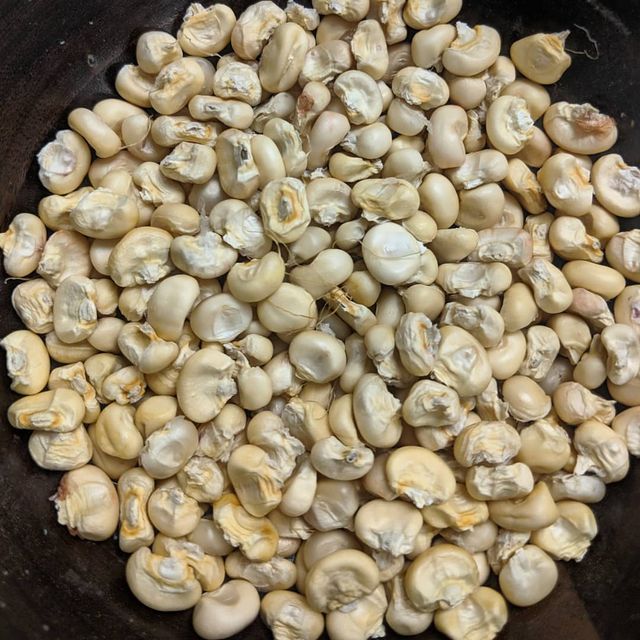 Our food knowledge mirrors our cultural values in that it provides place-based intergenerational knowledge of how to live a good life.