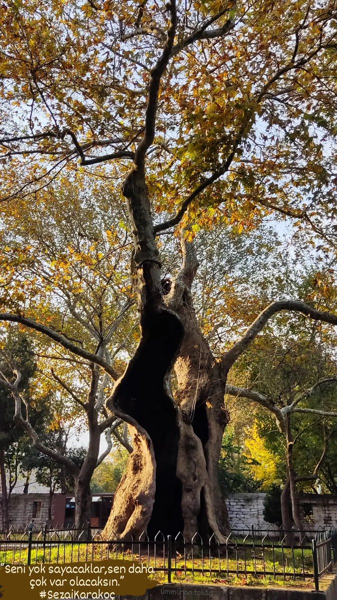 ‘’Seni yok sayacaklar, sen daha çok var olacaksın.’’ #SezaiKarakoc