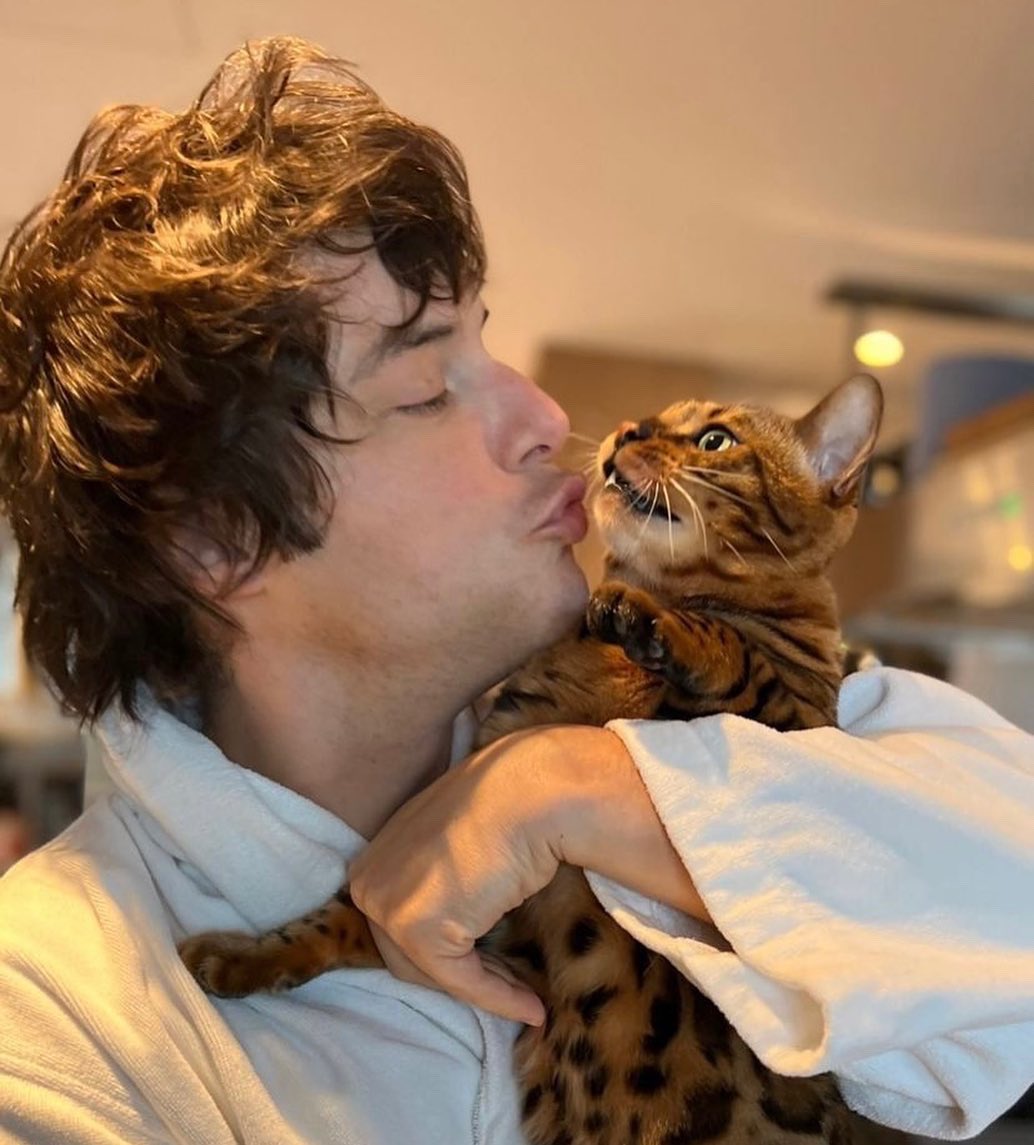 Miau 😼 

<a href="/JordiCruzMas/">Jordi Cruz Mas</a>