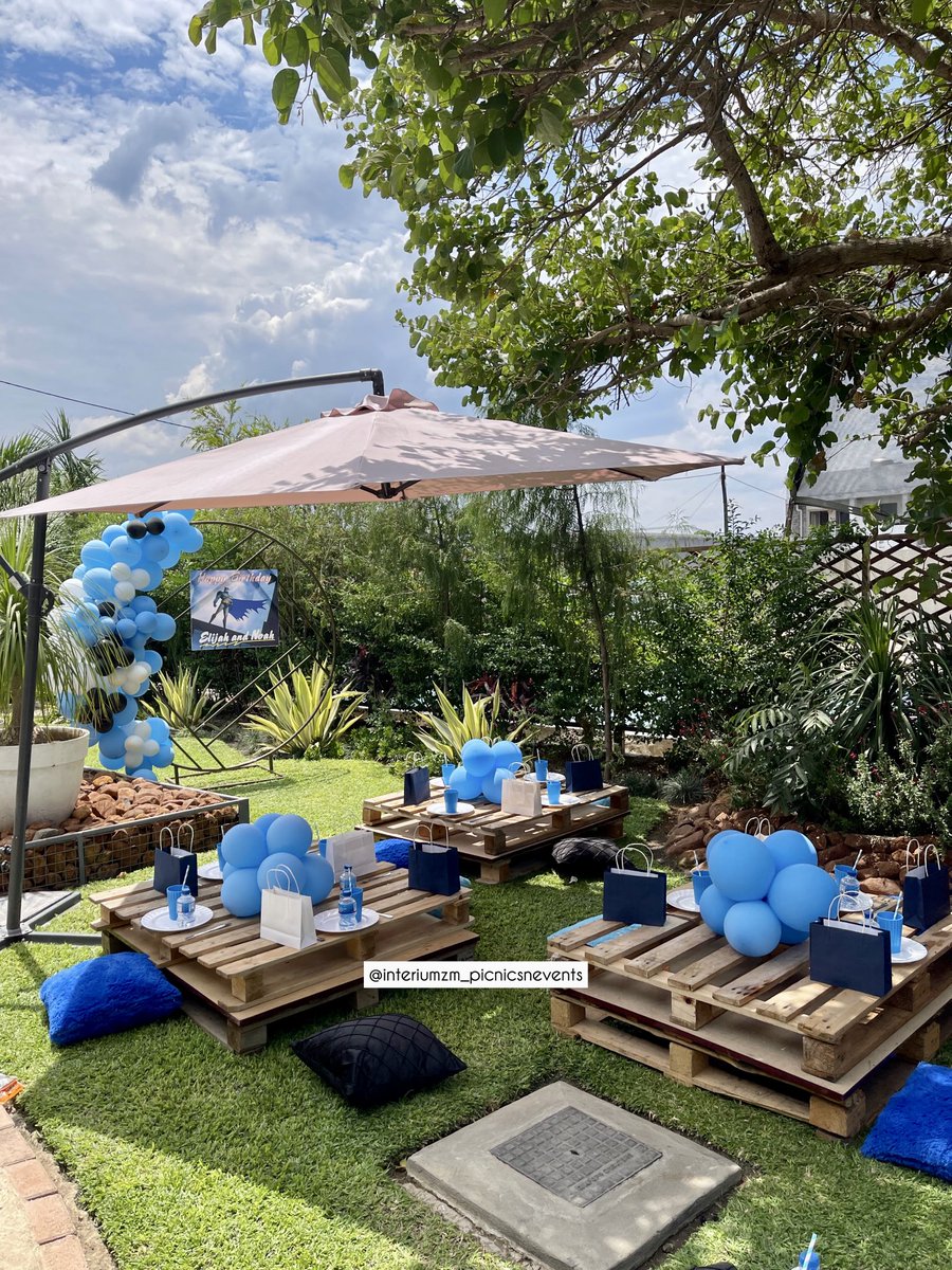 InteriumZ's tweet image. A kiddies picnic 💙 
#ZedTwitter