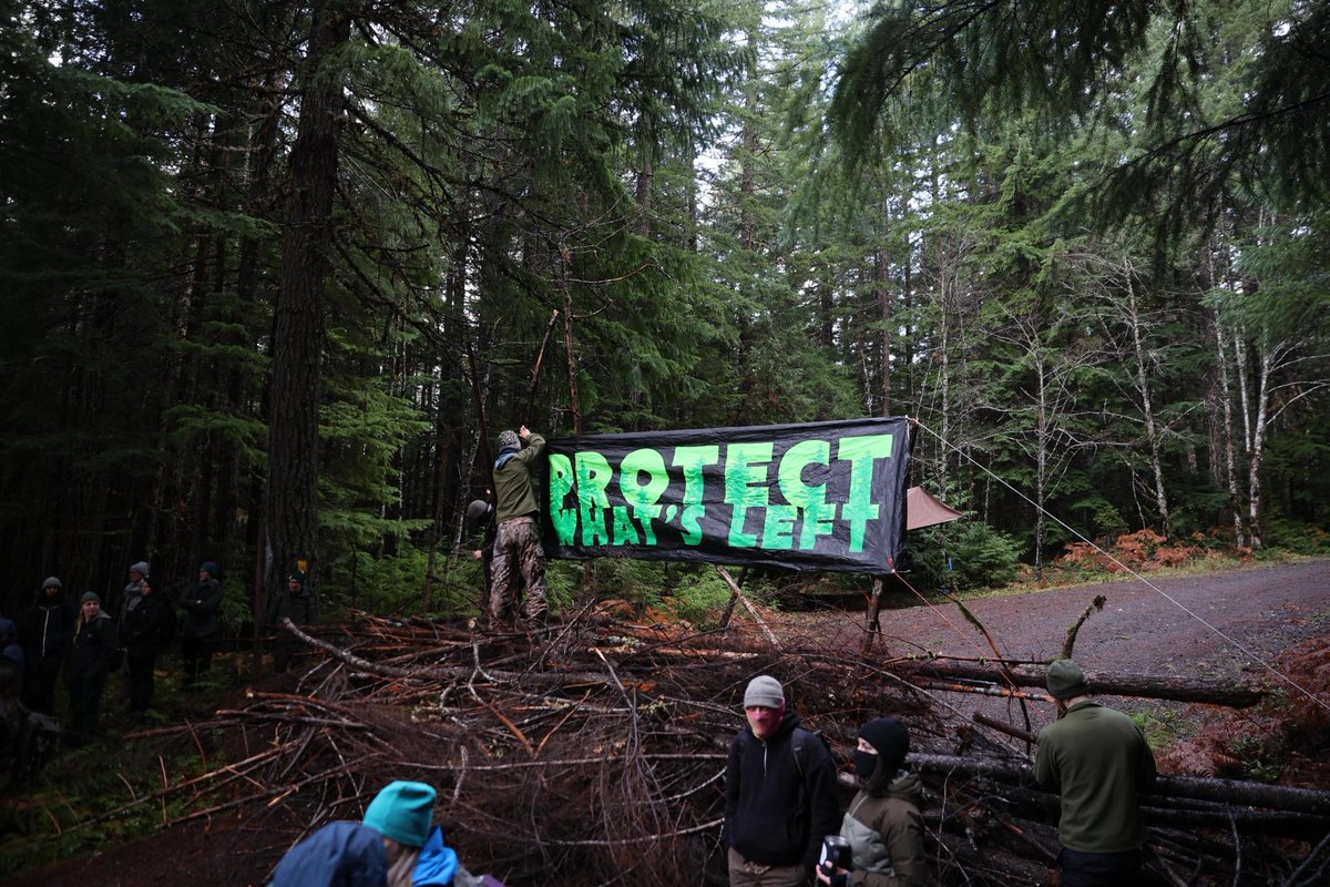 TreeSitUnion's tweet image. BREAKING: Dozens of community members risk arrest to protest post-fire logging in the Breitenbush watershed. Organizers have blockaded one of the roads leading into forests imminently threatened with clearcutting and are occupying the area.

#WorthMoreStanding