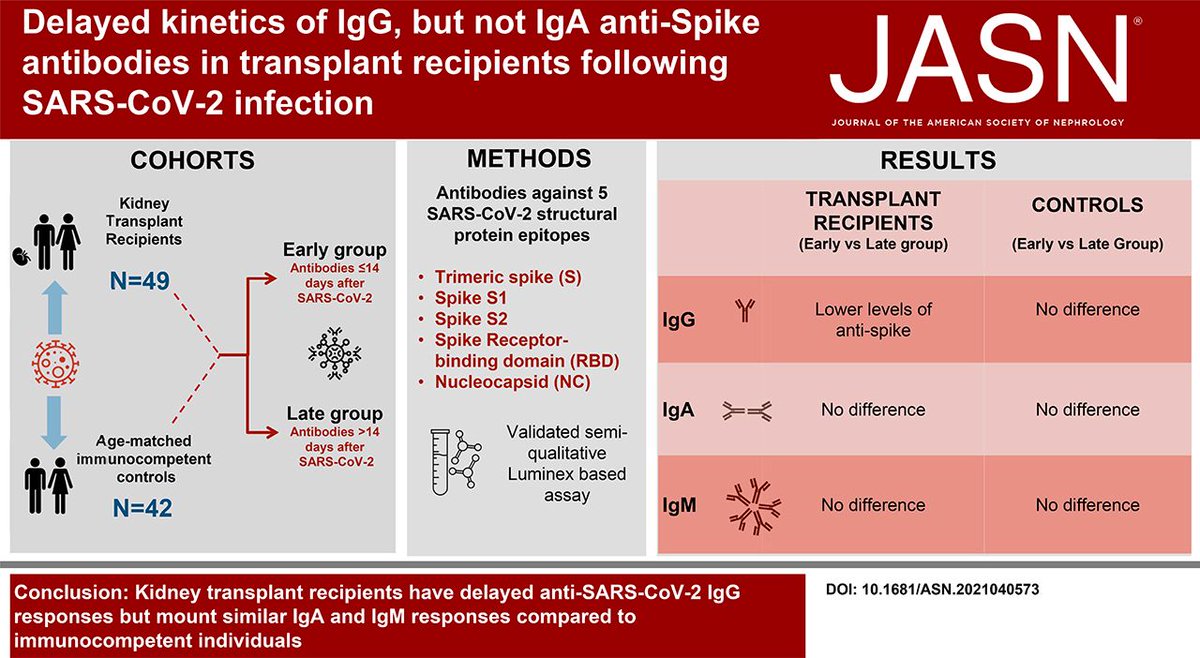JASN_News tweet media
