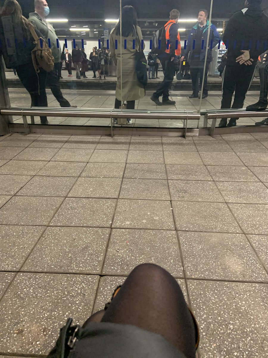 Caroline Gallogly tweet media