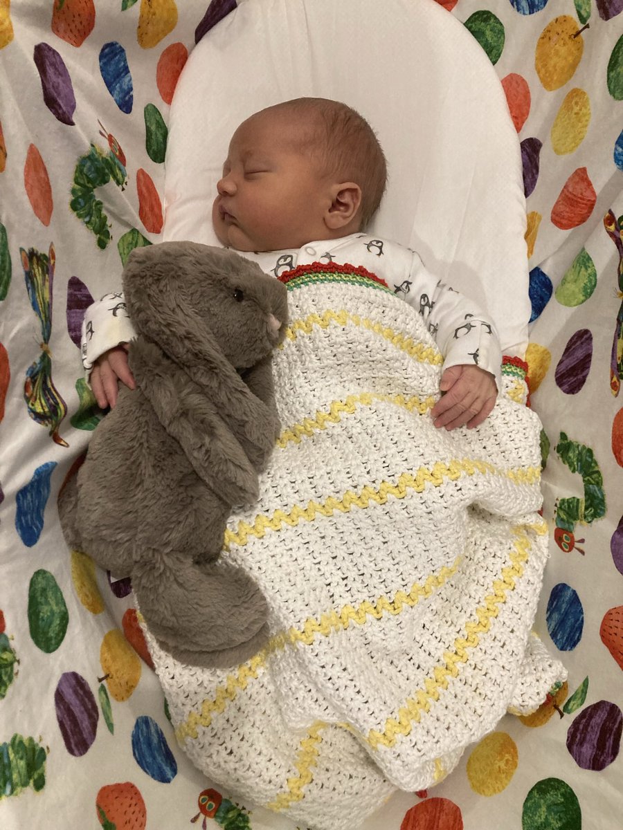 salmon_alice's tweet photo. So, about this time a week ago this little lad finally arrived. Safe to say he was worth waiting for. 🥰 #OfficiallyOutnumbered https://t.co/DPyeYysi5m