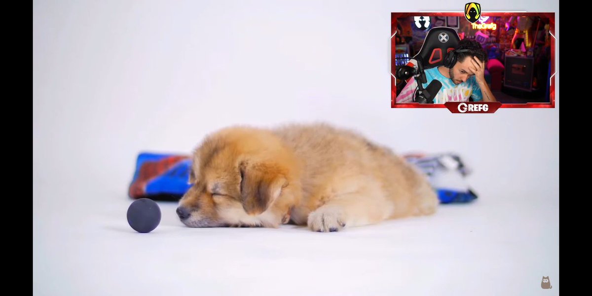 Gracias <a href="/TheGrefg/">Grefg =)</a> por volver a <a href="/ClashRoyaleES/">Clash Royale ES</a> .....
Jajajajjajaja soy feliz viendo tus tilteos....y eso que aún no juegas en láder para llegar a las 7000 jajajaj