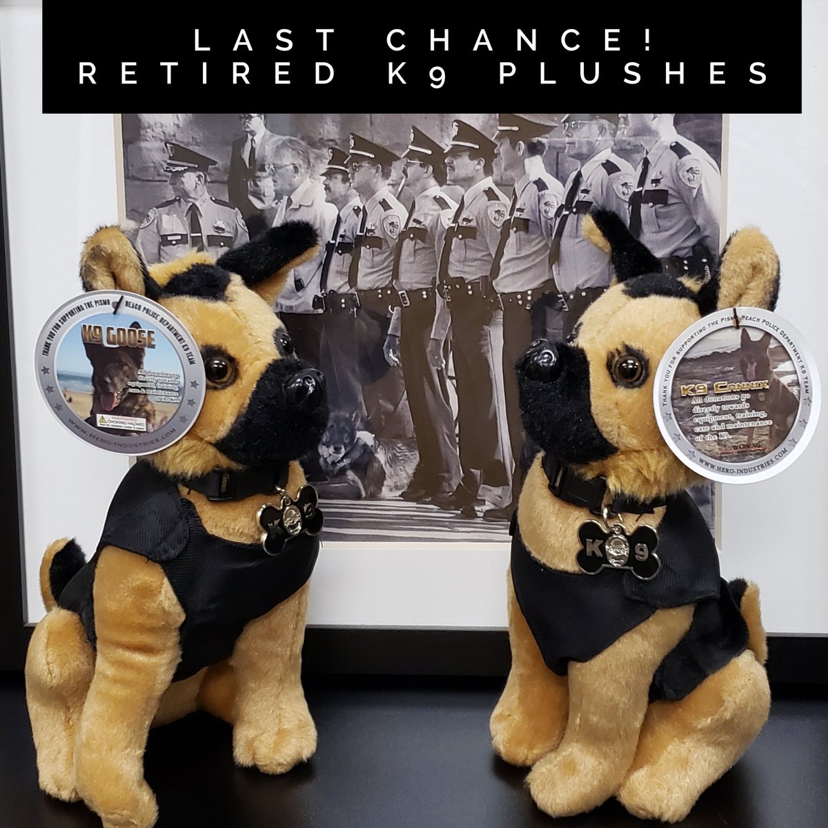 PismoPolice's tweet photo. Did you know the K9 Unit is fully funded by donations? This includes the cost of the canine dog, training, food, medical and equipment. 

K9 Officer Mytych is selling these plush toys and stickers for purchase at the police dept. Feel free to stop by during normal business hours. https://t.co/SkaPK4ej1w