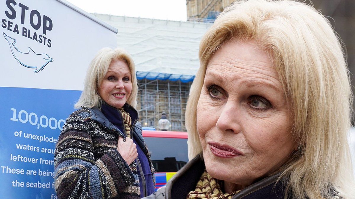Joanna Lumley hails 'victory for common sense' in campaign to end sea explosions that cause damage to marine life 
express.co.uk/celebrity-news…