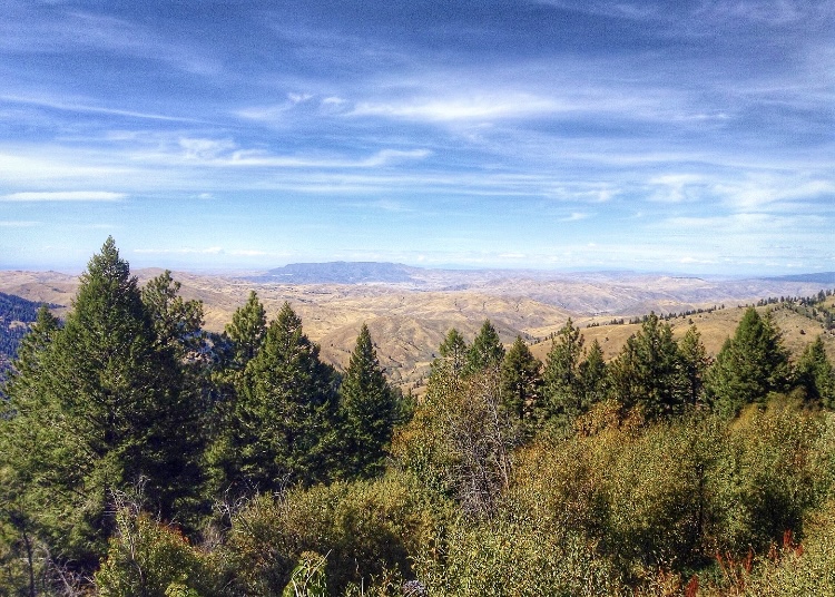 For the last time this XC season here is your #TrailTuesday...

𝑬𝒂𝒔𝒕𝒔𝒊𝒅𝒆 𝑻𝒓𝒂𝒊𝒍

If you are looking for a shaded single-track trail, Eastside trail is for you! Located in the Boise National Forest, the trail is over 11 miles long.

#BleedBlue #RunBoise