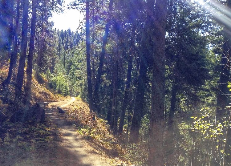 BroncoSportXCTF's tweet photo. For the last time this XC season here is your #TrailTuesday...
๐ฌ๐๐๐๐๐๐
๐ ๐ป๐๐๐๐
If you are looking for a shaded single-track trail, Eastside trail is for you! Located in the Boise National Forest, the trail is over 11 miles long.
#BleedBlue #RunBoise https://t.co/AH3JfRk6he