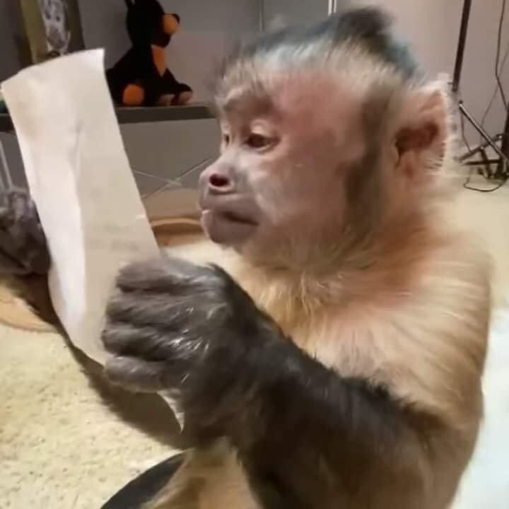 MexicoMagico's tweet photo. Yo viendo cuanto gasté, después de decir, pá eso trabajo. https://t.co/kcd7RIb5QX