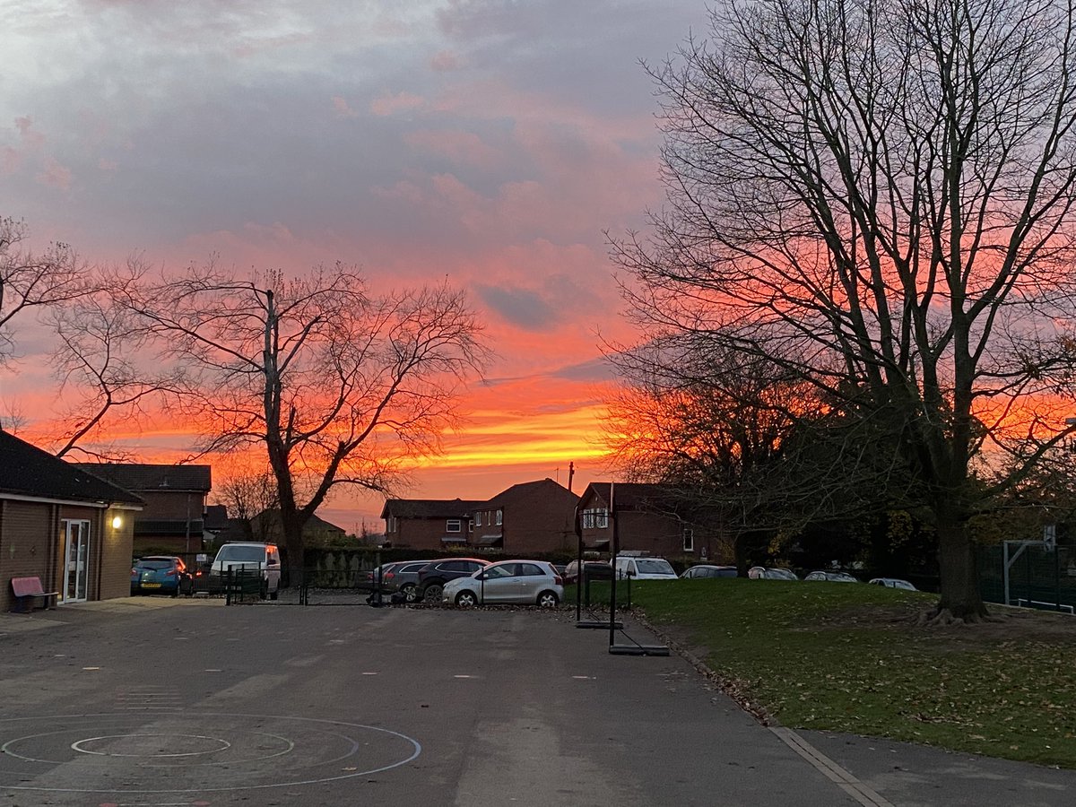 Helen Brown tweet media