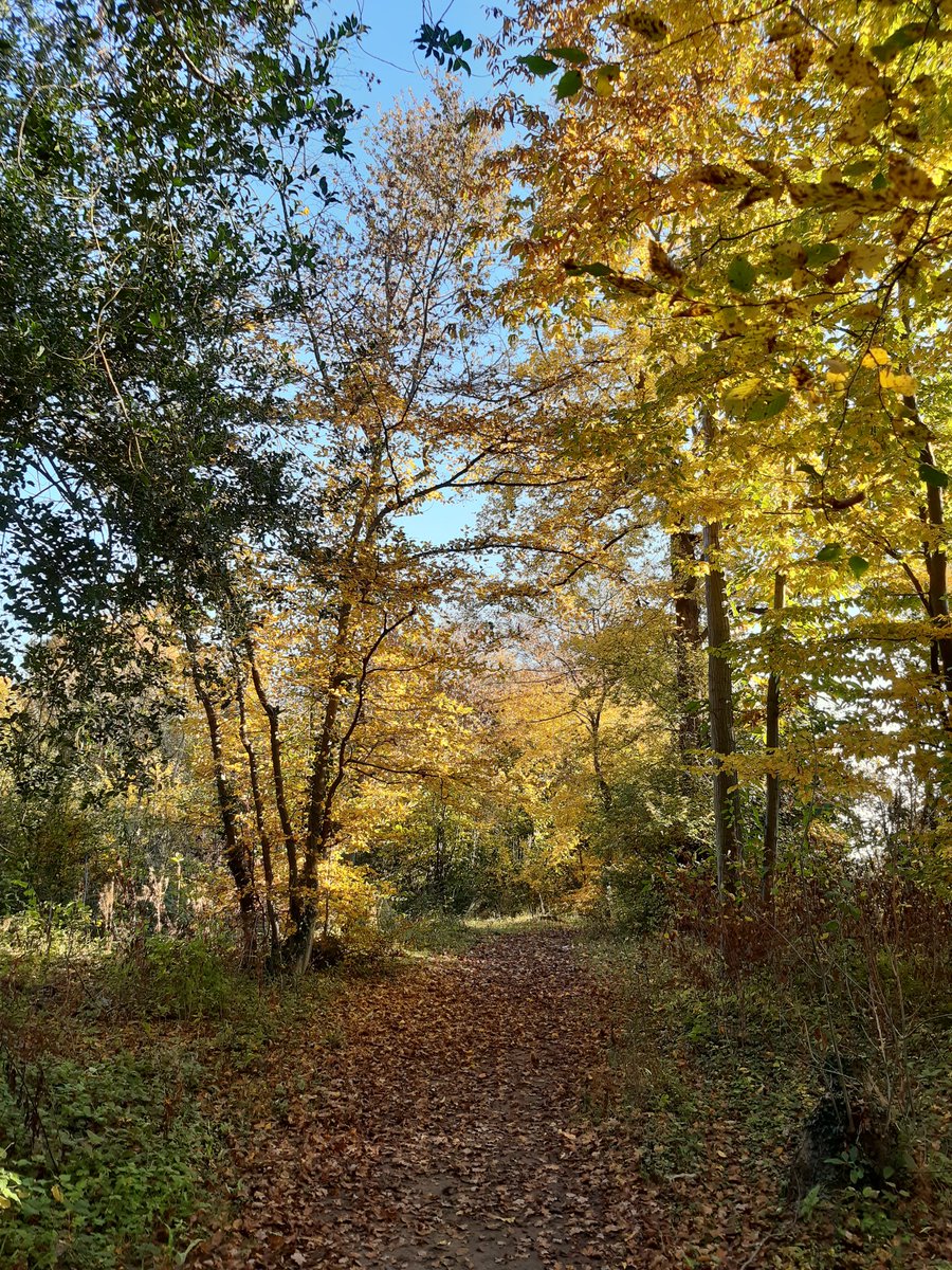 Beth Wright tweet media