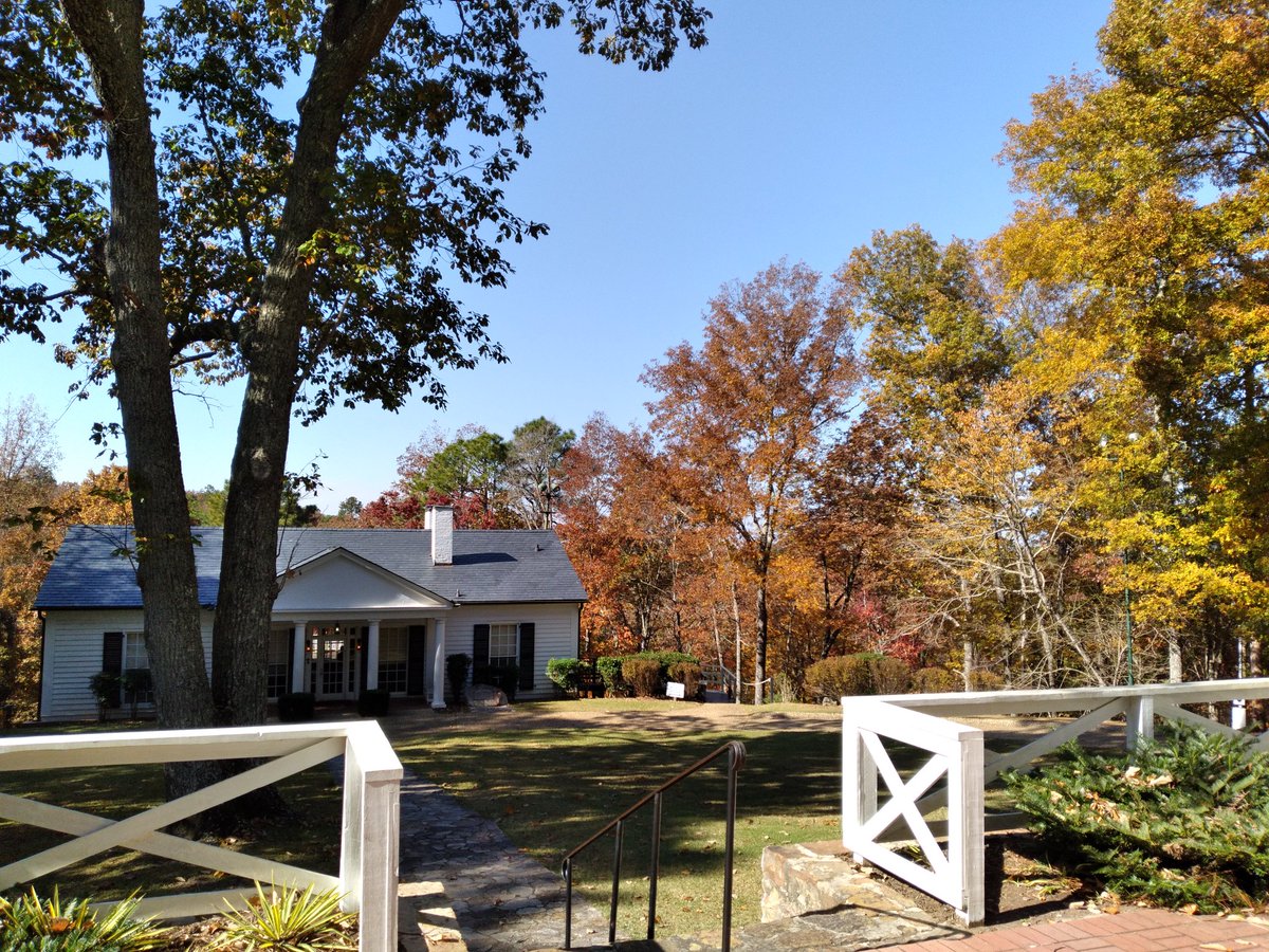 OfficialLWH's tweet photo. Come and check out these beautiful fall leaves in our parking lot and on site. The maple,and chestnuts are beautiful this year.  #FDR #lwh #daytrip #GaStateParks  #GaLeafWatch #fallyall #fallcolor #leafwatching https://t.co/l31TtCbFNU https://t.co/WflzSnGMPv