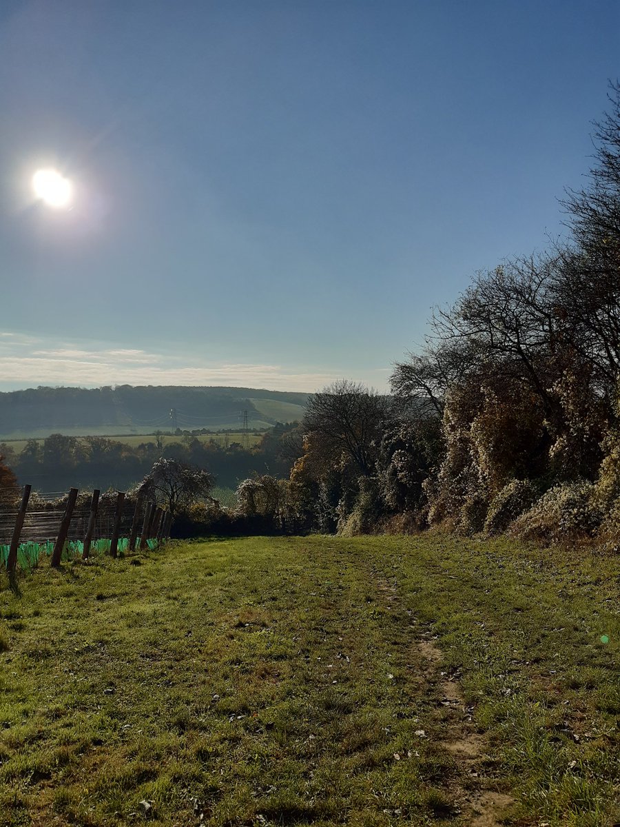 Had a lovely 10K walk in the beautiful #Kent countryside today! #AutumnVibes #AutumnColours #VisitKent @VisitKent @KentScenes @ExploreKent