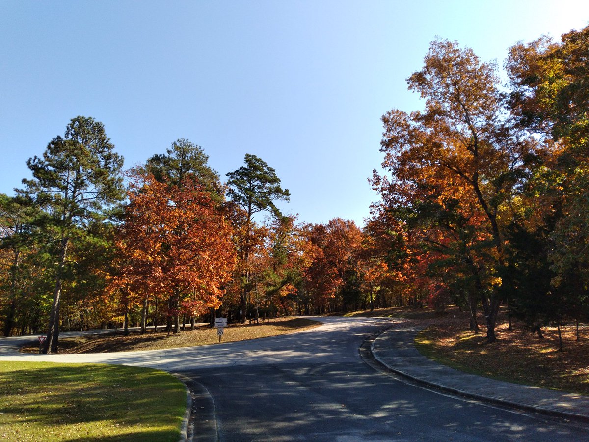 OfficialLWH's tweet photo. Come and check out these beautiful fall leaves in our parking lot and on site. The maple,and chestnuts are beautiful this year.  #FDR #lwh #daytrip #GaStateParks  #GaLeafWatch #fallyall #fallcolor #leafwatching https://t.co/l31TtCbFNU https://t.co/WflzSnGMPv