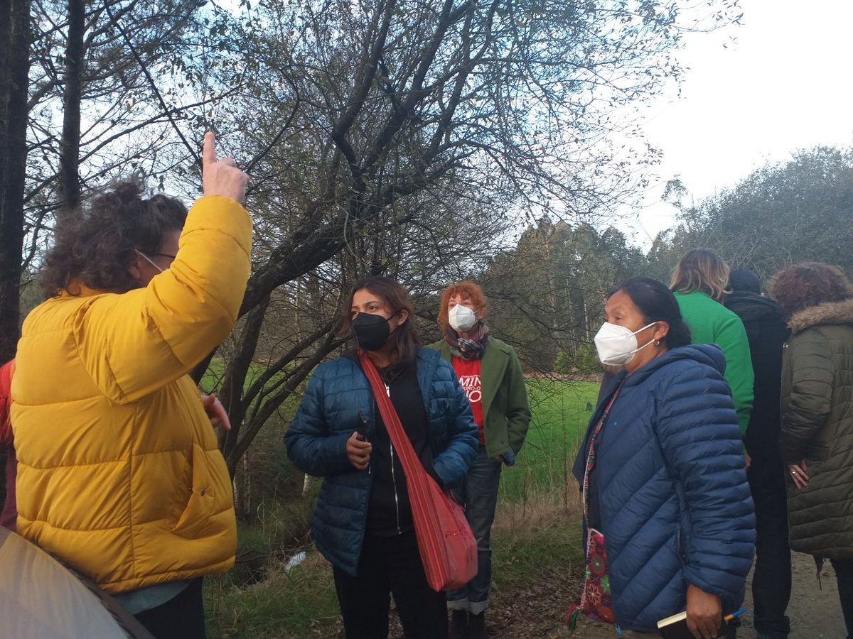SLG_labregxs's tweet photo. #MinasNon #XiraPolaVida Compartindo en #Touro experiencias da loita contra a minaría que destrúe os nosos ecosistemas e nos expulsa dos nosos territorios. Ca voceira do @CNI_Mexico Marichuy e Abril Flores, activista @APIIDTT Ás 20.00h diálogo aberto no @SLG_labregxs  #Compostela https://t.co/baFfoaEudH