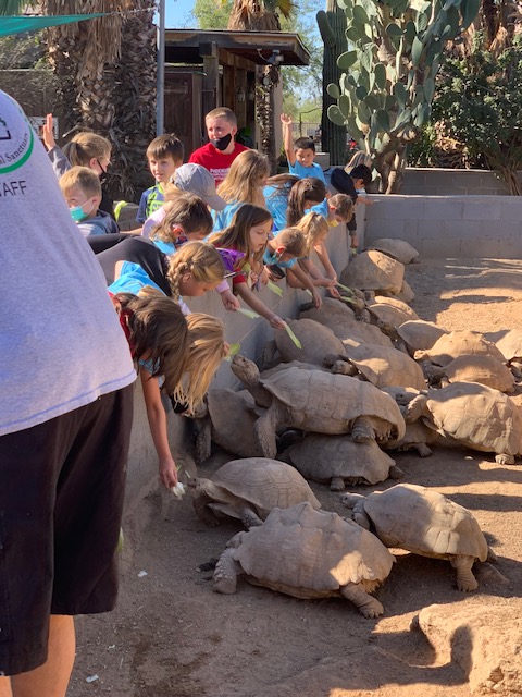 Desert Mountain School, DVUSD tweet media
