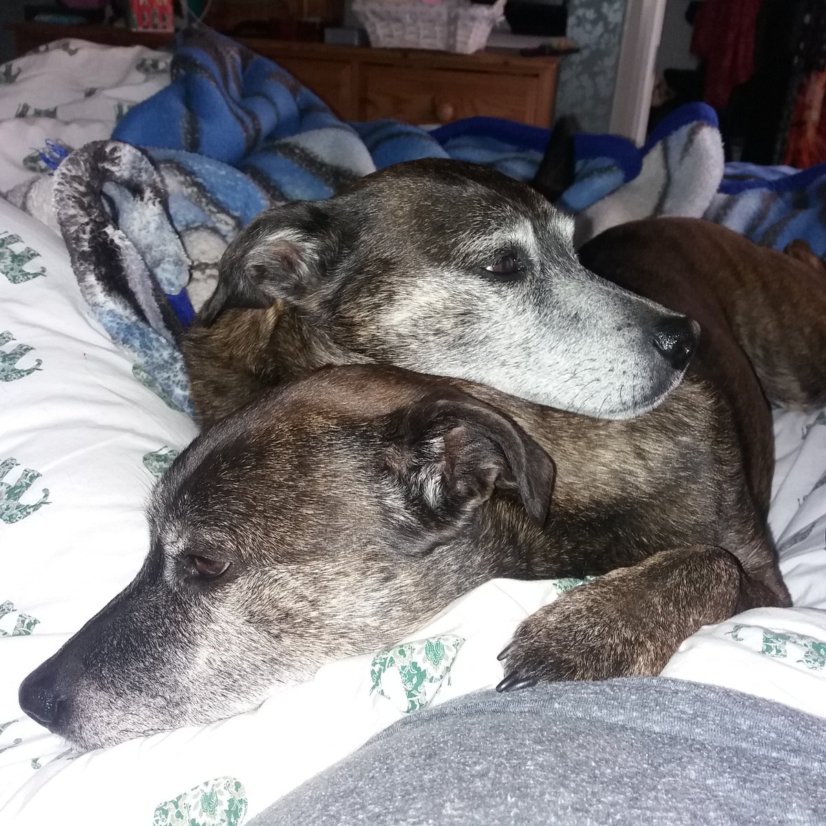 When two heads ARE better than one.