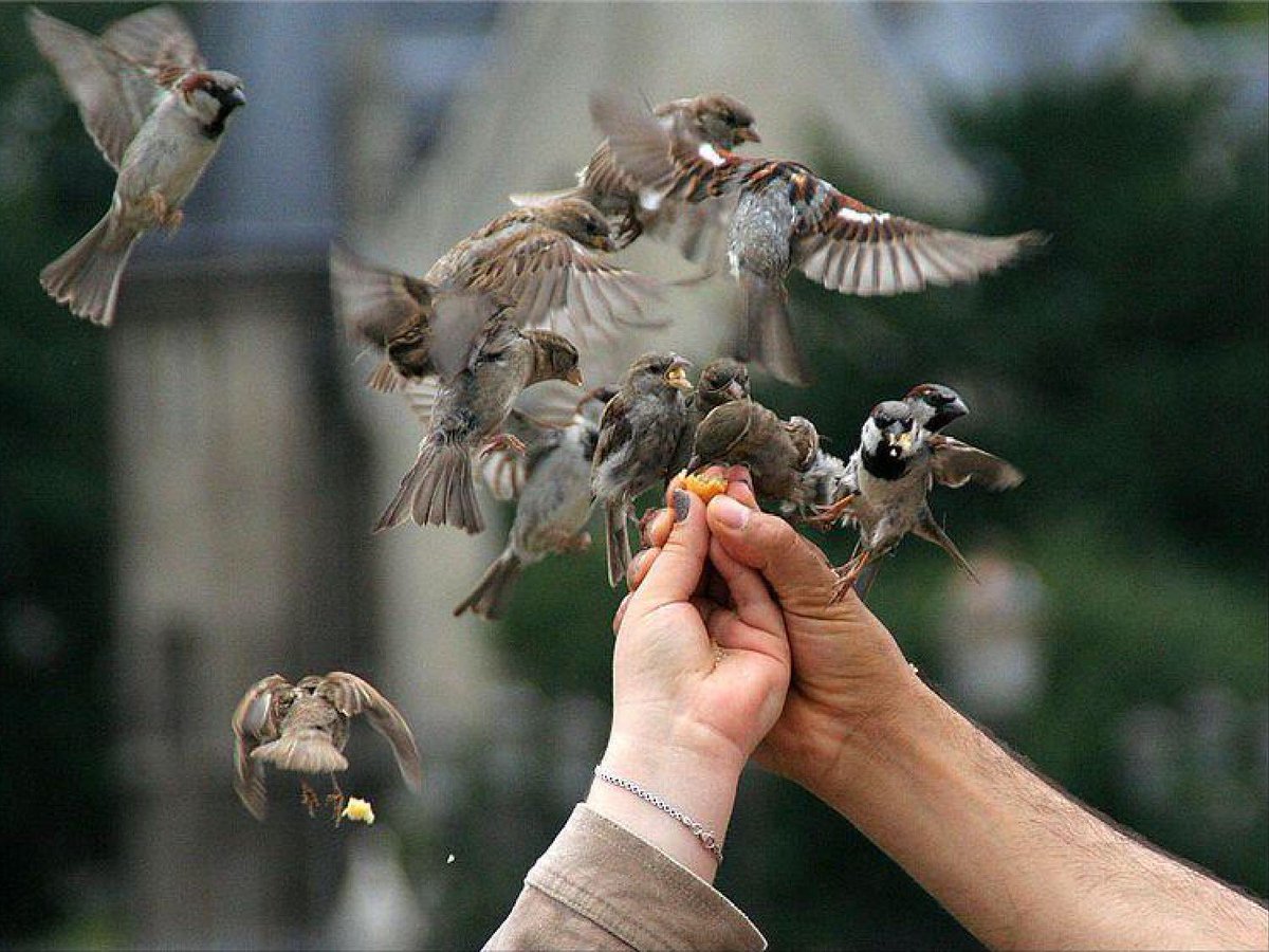 ( … وَتَعَاوَنُواْ عَلَى الْبِرِّ وَالتَّقْوَى وَلاَ تَعَاوَنُواْ عَلَى الإِثْمِ وَالْعُدْوَانِ… )

• سورة المائدة جزء من آيه رقم 2
• Photo By : Unknown