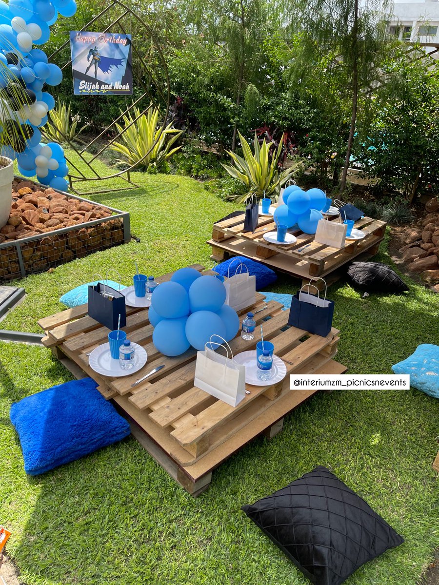 InteriumZ's tweet image. A kiddies picnic 💙 
#ZedTwitter