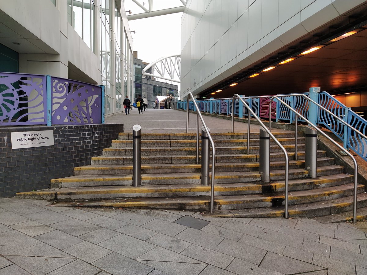 Carrie Benjamin tweet media