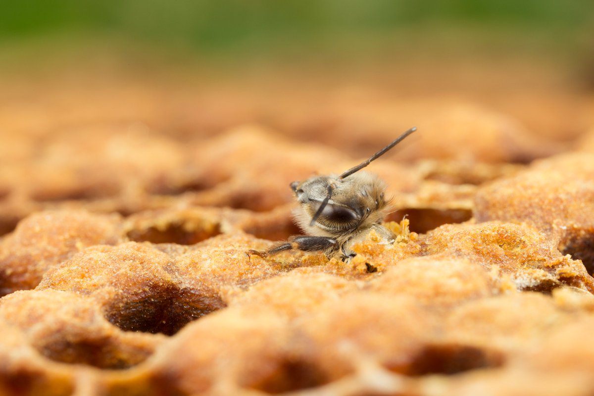 Matt Doogue tweet media