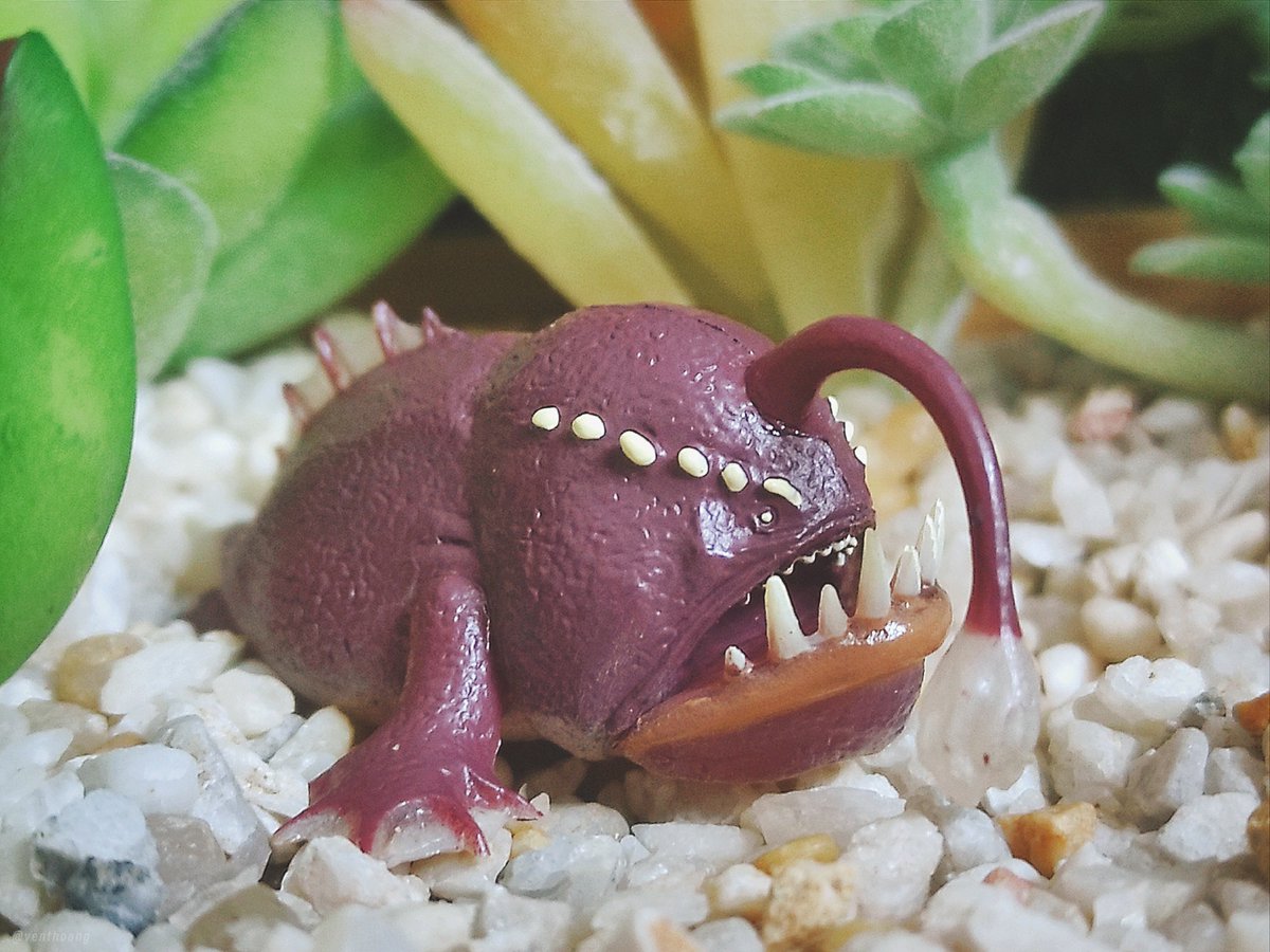 VentHoang's tweet photo. Gashapon Monster Hunter World: Endemic Life Vol.02
Andangler アンドンウオ
#モンスターハンターワールド #MHW #MHWIB #MonsterHunter #MonsterHunterWorld #MonsterHunterWorldIceborne #EndemicLife #Gashapon #ガシャポン #ガチャポン #TOMY #TakaraTomy https://t.co/PXugoxqCaY