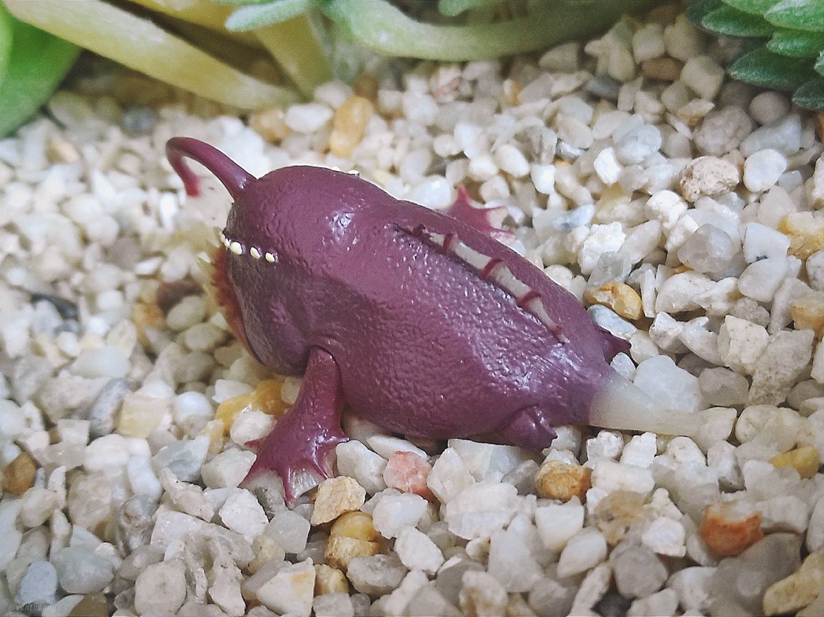 VentHoang's tweet photo. Gashapon Monster Hunter World: Endemic Life Vol.02
Andangler アンドンウオ
#モンスターハンターワールド #MHW #MHWIB #MonsterHunter #MonsterHunterWorld #MonsterHunterWorldIceborne #EndemicLife #Gashapon #ガシャポン #ガチャポン #TOMY #TakaraTomy https://t.co/PXugoxqCaY