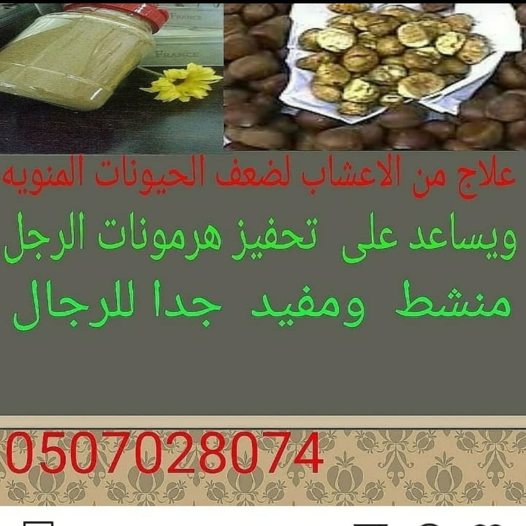 omfesal00's tweet photo. #طب_شعبي #علاج_الحمل #زيوت_الشعر #علاج_الألتصاقات #ك��رس_النفاس #حوايج_حريم #خلطات_تنحيف #علاجات_الأنسدادات #علاج_الضعف_للرجال https://t.co/ZzhHfpXDSq