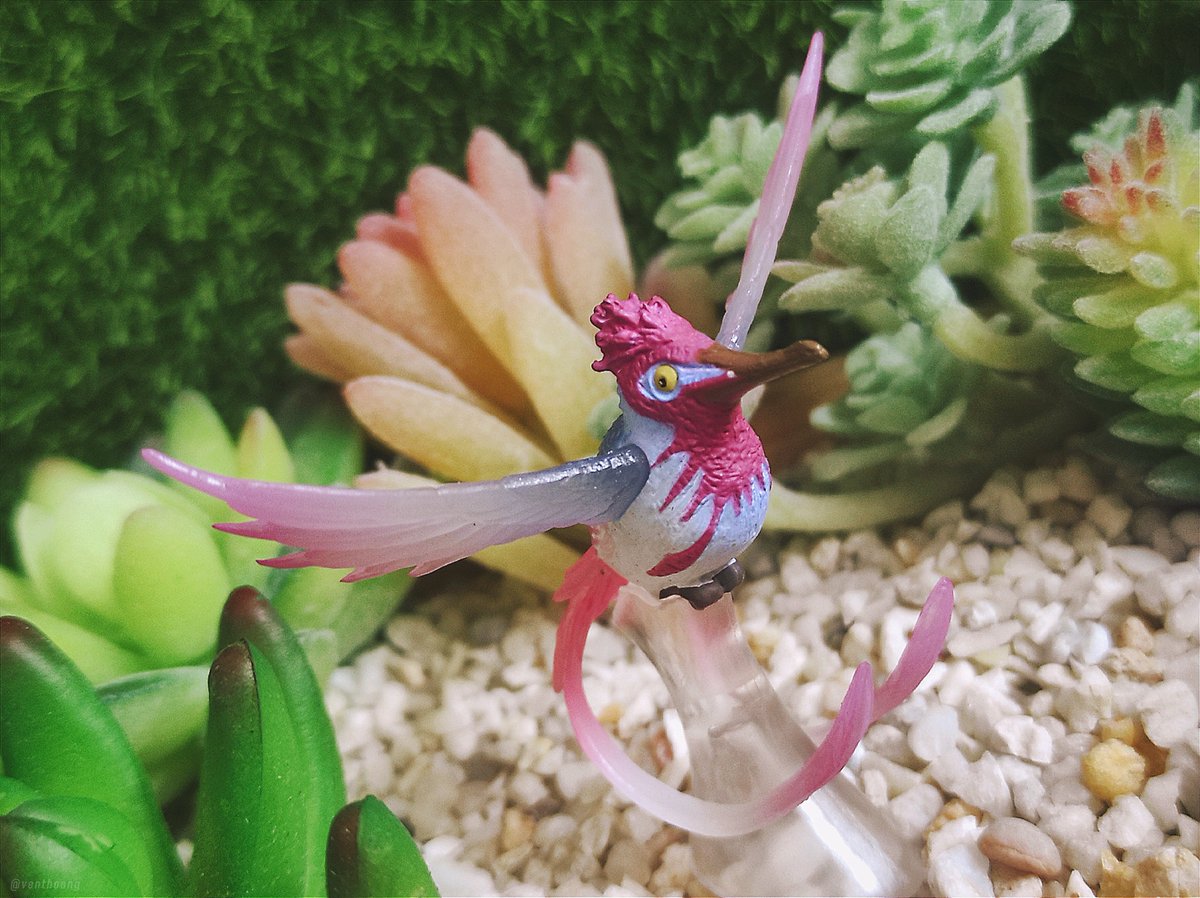 VentHoang's tweet photo. Gashapon Monster Hunter World: Endemic Life Vol.02
Dapper Coralbird タキシードサンゴドリ
#モンスターハンターワールド #MHW #MHWIB #MonsterHunter #MonsterHunterWorld #MonsterHunterWorldIceborne #EndemicLife #Gashapon #ガシャポン #ガチャポン #TOMY #TakaraTomy https://t.co/bB0q1Hi2Ja
