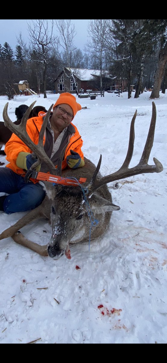 WasdenClaude's tweet photo. Hunting whitetail was short but sweet. A dream buck that I harvested with in a half mile of our farm. He will garnish a spot on the wall. https://t.co/5anDPRB6yV