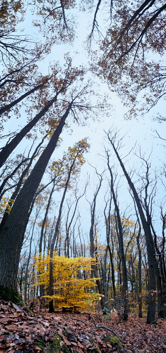 #lesulis
#parcnord
#parissaclay 
#essonne
#grandparis

Today PM