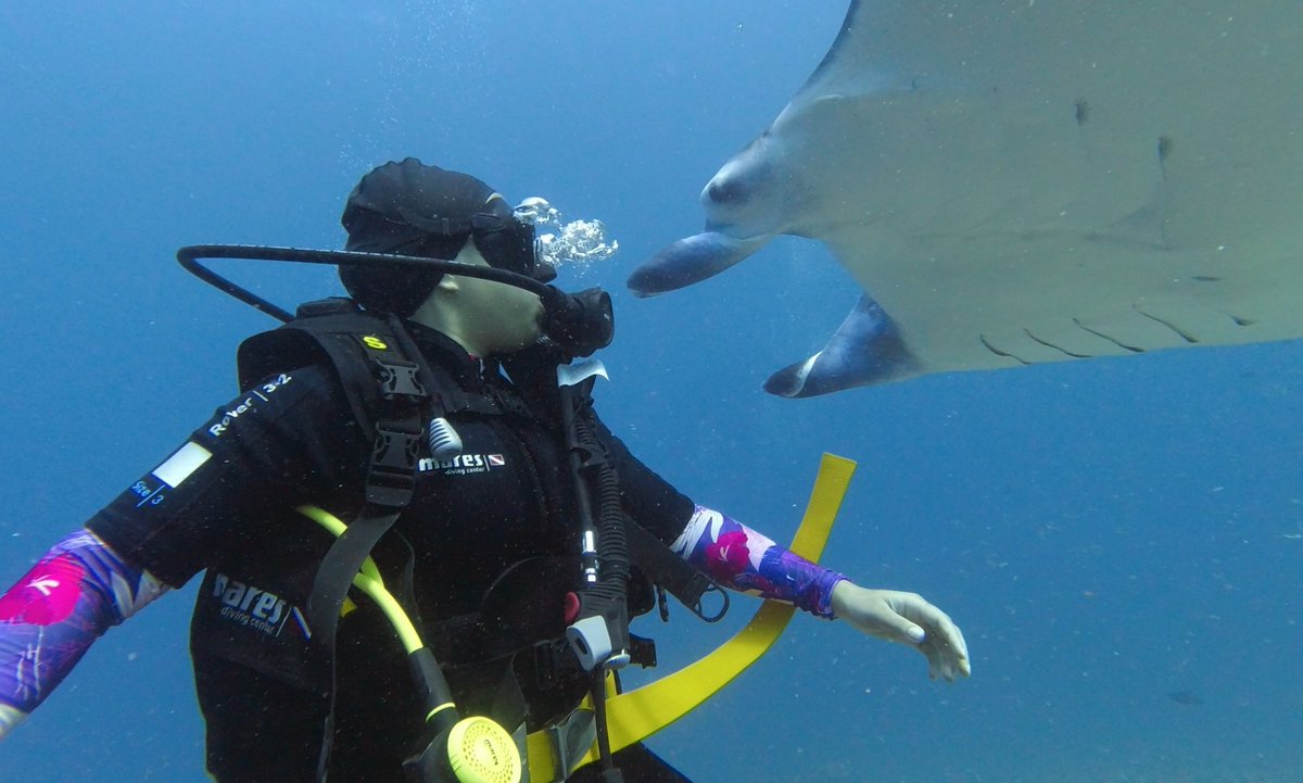 87humz's tweet photo. @TheTravelCamel @LindaPeters64 A1: After years of diving, we finally caught up with these elusive Manta Rays this year... Up close!!
#TRLT https://t.co/GldKlwO3RY