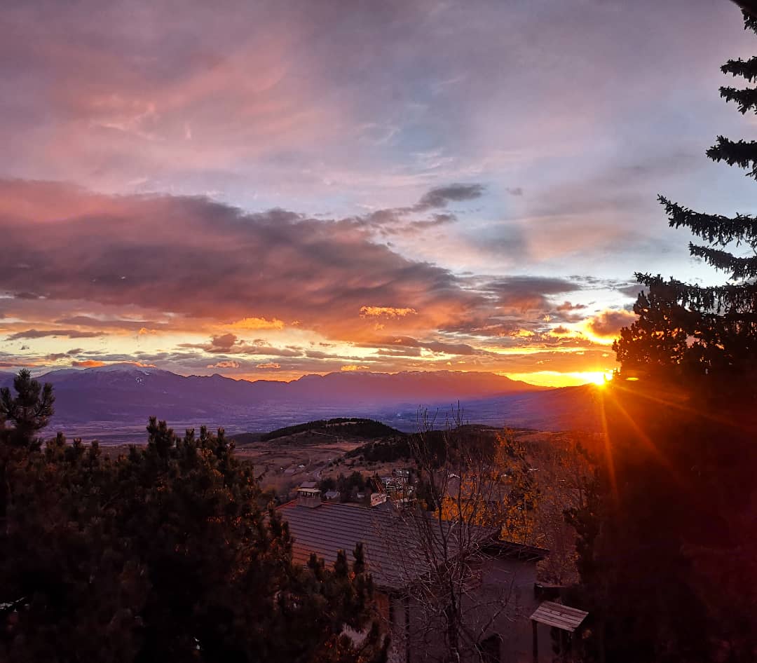 Vincent Thomas tweet media