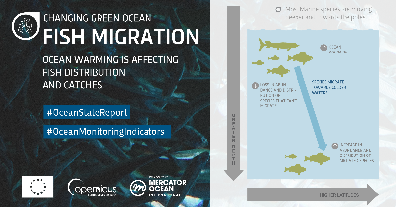 CMEMS_EU's tweet photo. #OceanWarming has caused temperature sensitive tropical fish to migrate toward cooler waters, impacting Fisheries and Marine ecosystems 🐠