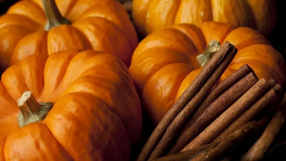 OldLouBrew's tweet photo. It’s #testbatchtuesday and this week we have a Pumpkin Spice Cider with hints of vanilla! Come try this Fall treat while it lasts! #goodbeermakesgoodneighbors https://t.co/lFbSx9oqDy