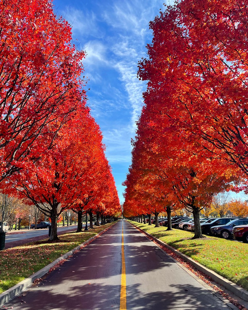 WalkerHancock's tweet image. Picture perfect fall afternoon at @keenelandsales
