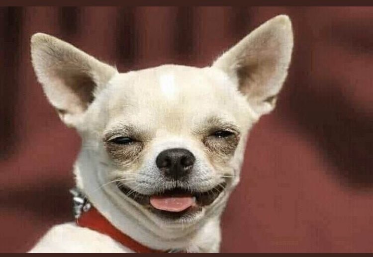 PYT(PwettyYoungThang)💧 tweet media