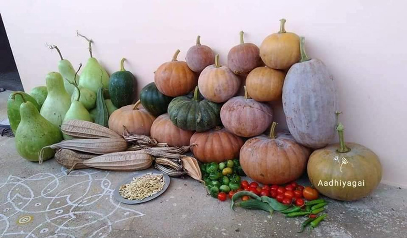30stades's tweet photo. For centuries, Indian #farmers had been saving #traditional seeds before #hybrids took roots &amp; #native varieties were lost. #Engineer-turned farmer A Parameswaran is now collecting native #seeds to revive #organicfarming:

https://t.co/iCT9fwwfoS
#NativeFoodWays #biodiversity https://t.co/WOJSTtSJBC