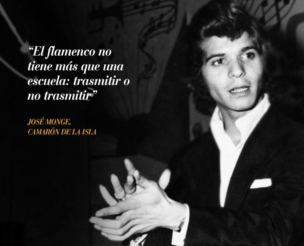letrasdecamaron's tweet photo. Feliz día del flamenco ♥️ https://t.co/ALNuERVMpc
