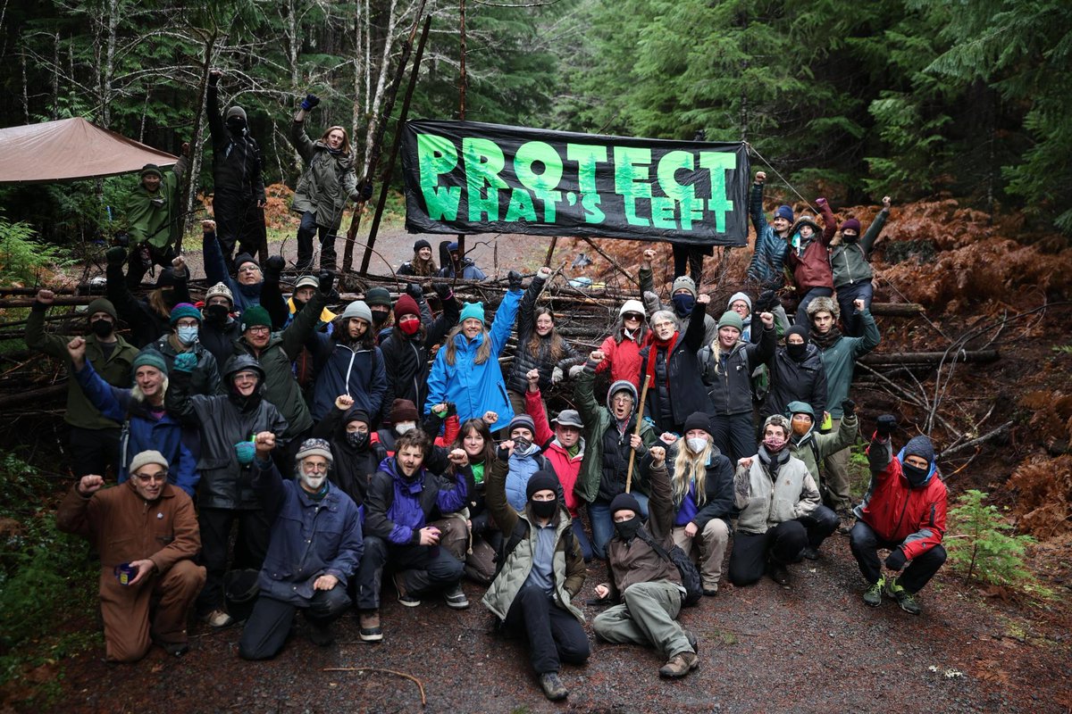 Forest defense is community defense. Native forests in the PNW filter our drinking water, protect us from wildfire, and draw down and store huge amounts of carbon. If we are to have a future on this planet, it will be because we #ProtectWhatsLeft.

#WorthMoreStanding
