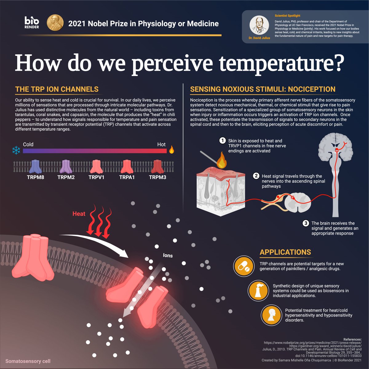 Congratulations to Dr. Ardem Patapoutian and Dr. David Julius for their 2021 Nobel Prize in Physiology or Medicine!🏅

To celebrate, our science design team has created a comprehensive infographic for each discovery: blog.biorender.com/post/2021-nobe… #NobelPrize