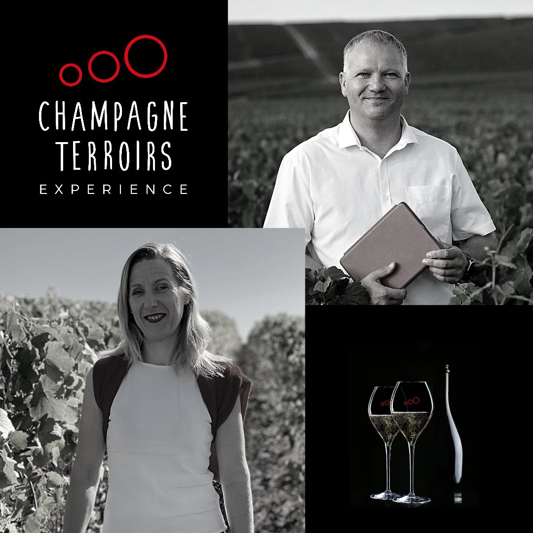 TerroirsEtc's tweet photo. 💥 Atelier Découverte 💥
Vendredi 19 novembre▪️18h
Samedi 20 novembre▪️11h &amp; 17h
Inscrivez-vous à notre atelier du week-end pour déguster 4 Champagnes rosés uniques ✨
Vous aurez le plaisir de rencontrer 2 vignerons de la Côte des Bar, Pierre-Éric Jolly et Anne-Laure Beerens 🍾 https://t.co/EGOrfIFSoE